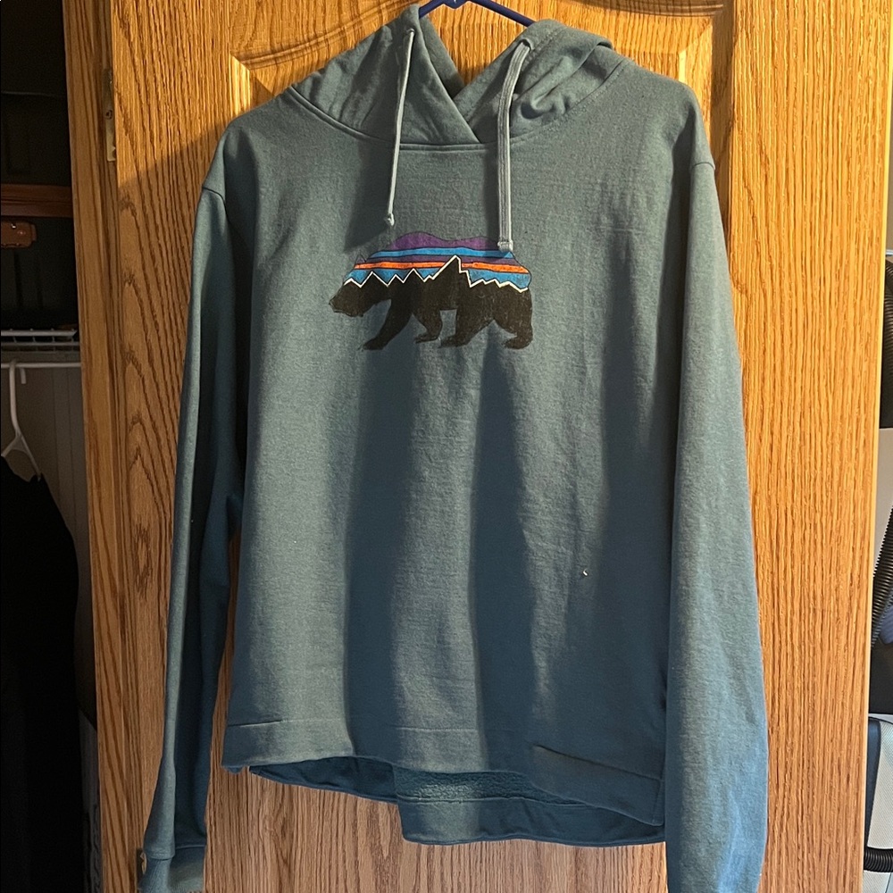 Patagonia Blue Bear Graphic Hoodie